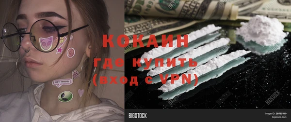 прущие грибы Белокуриха