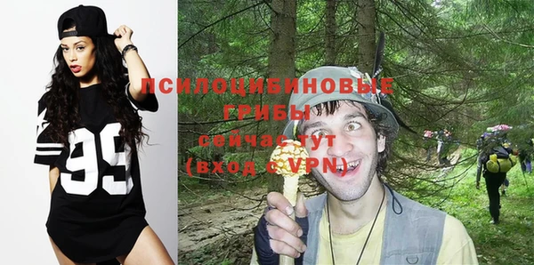 прущие грибы Белокуриха