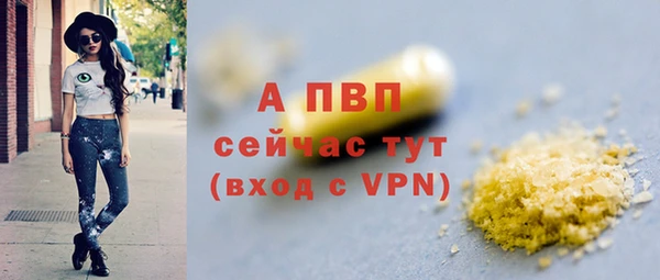 прущие грибы Белокуриха