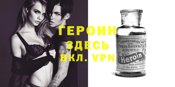 прущие грибы Белокуриха