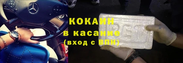 прущие грибы Белокуриха