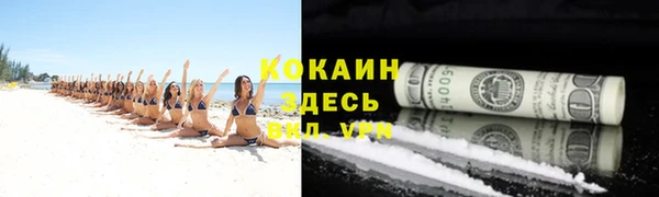 прущие грибы Белокуриха