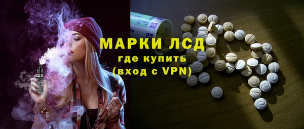 прущие грибы Белокуриха